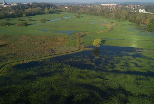 Ptačí park Josefovské louky 5